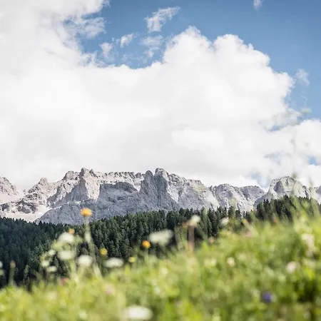 Cadepunt The Dolomites Daire Selva di Val Gardena